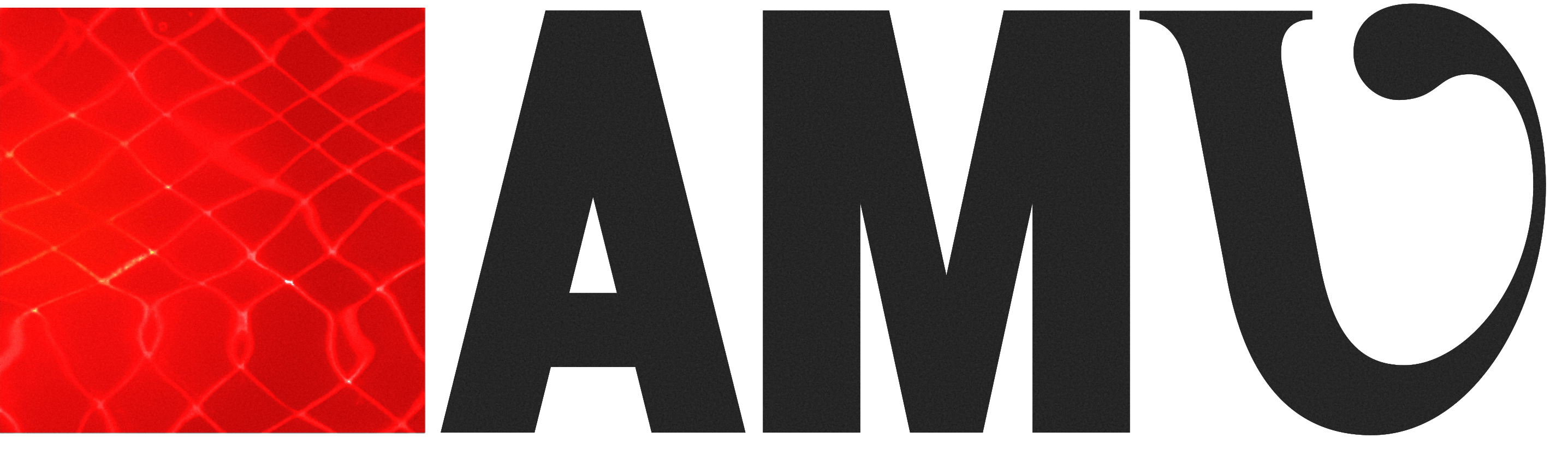 AM Volume